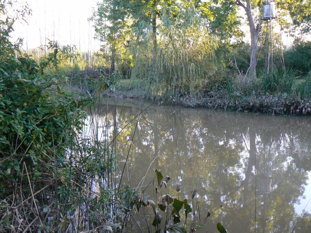 טיגרה Posada Barlovento חדר תמונה